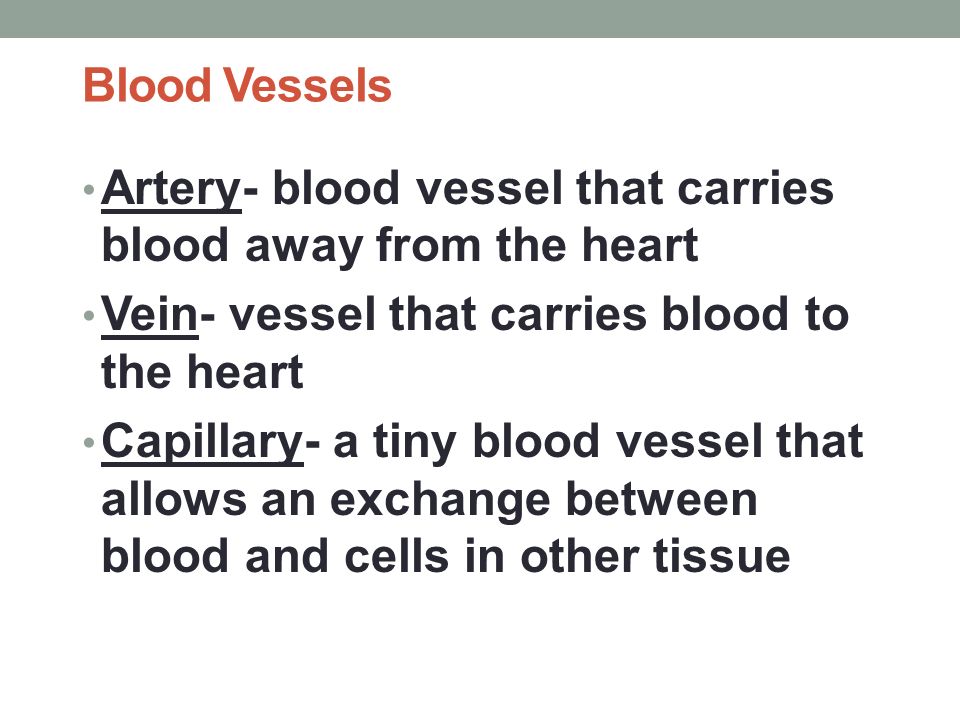 Blood Vessels Artery- blood vessel that carries blood away from the heart Vein- vessel that carries blood to the heart Capillary- a tiny blood vessel that allows an exchange between blood and cells in other tissue