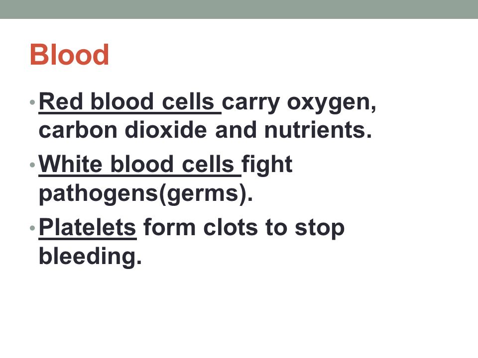 Blood Red blood cells carry oxygen, carbon dioxide and nutrients.