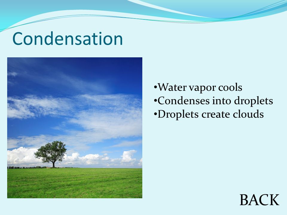 Condensation BACK Water vapor cools Condenses into droplets Droplets create clouds
