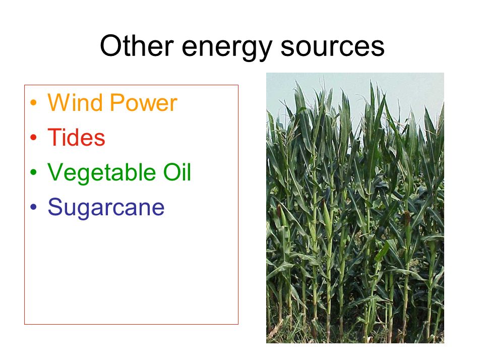 Other energy sources Wind Power Tides Vegetable Oil Sugarcane