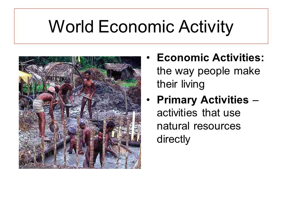 World Economic Activity Economic Activities: the way people make their living Primary Activities – activities that use natural resources directly
