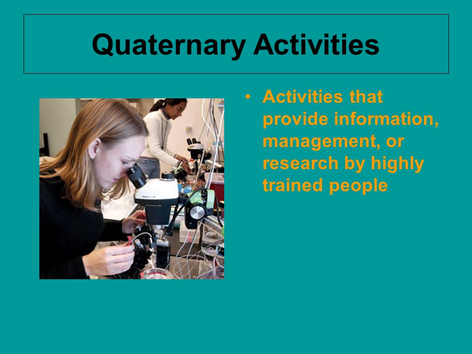 Quaternary Activities Activities that provide information, management, or research by highly trained people