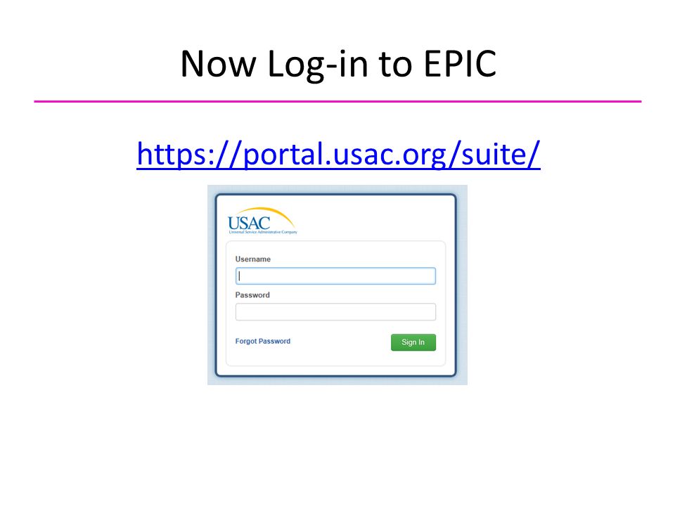 Now Log-in to EPIC