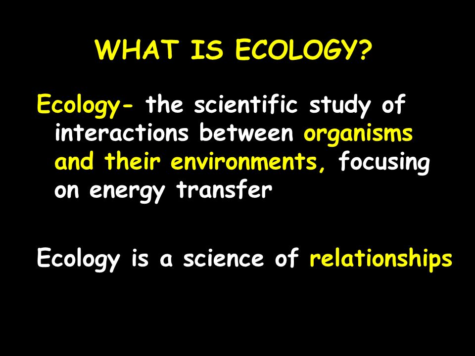 WHAT IS ECOLOGY.