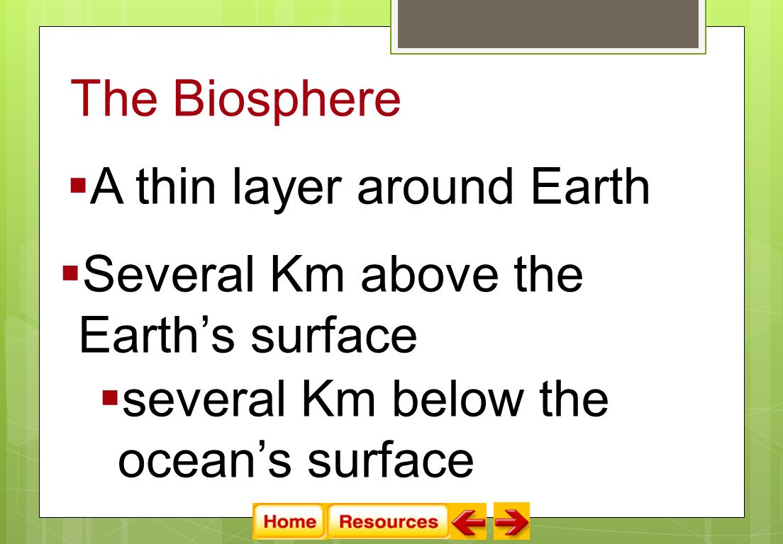 The Biosphere  A thin layer around Earth  Several Km above the Earth’s surface  several Km below the ocean’s surface