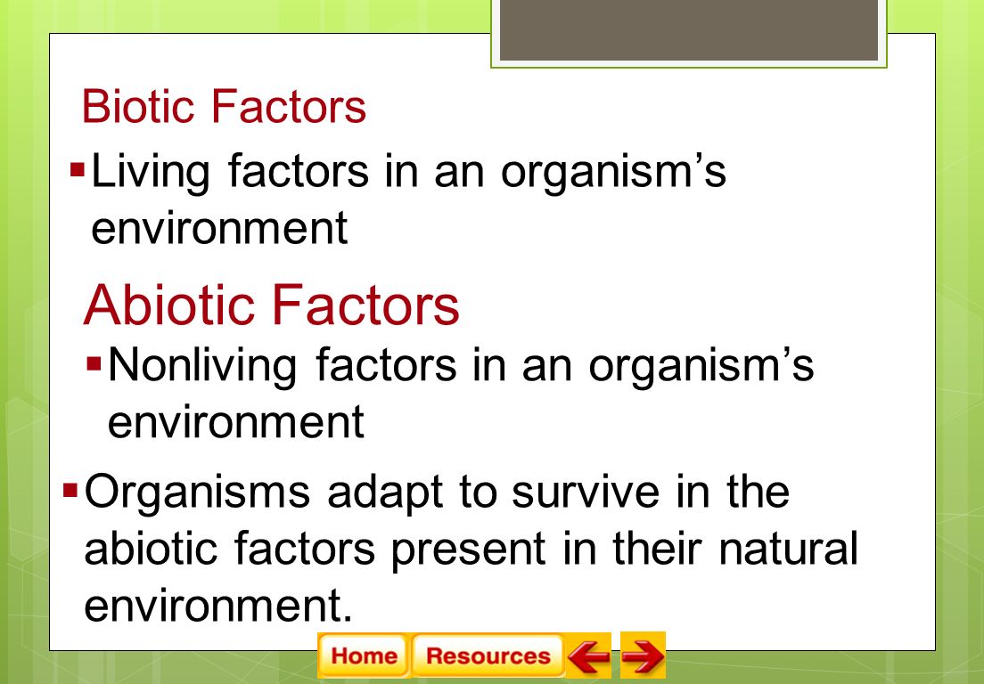 Biotic Factors  Living factors in an organism’s environment Abiotic Factors  Nonliving factors in an organism’s environment  Organisms adapt to survive in the abiotic factors present in their natural environment.