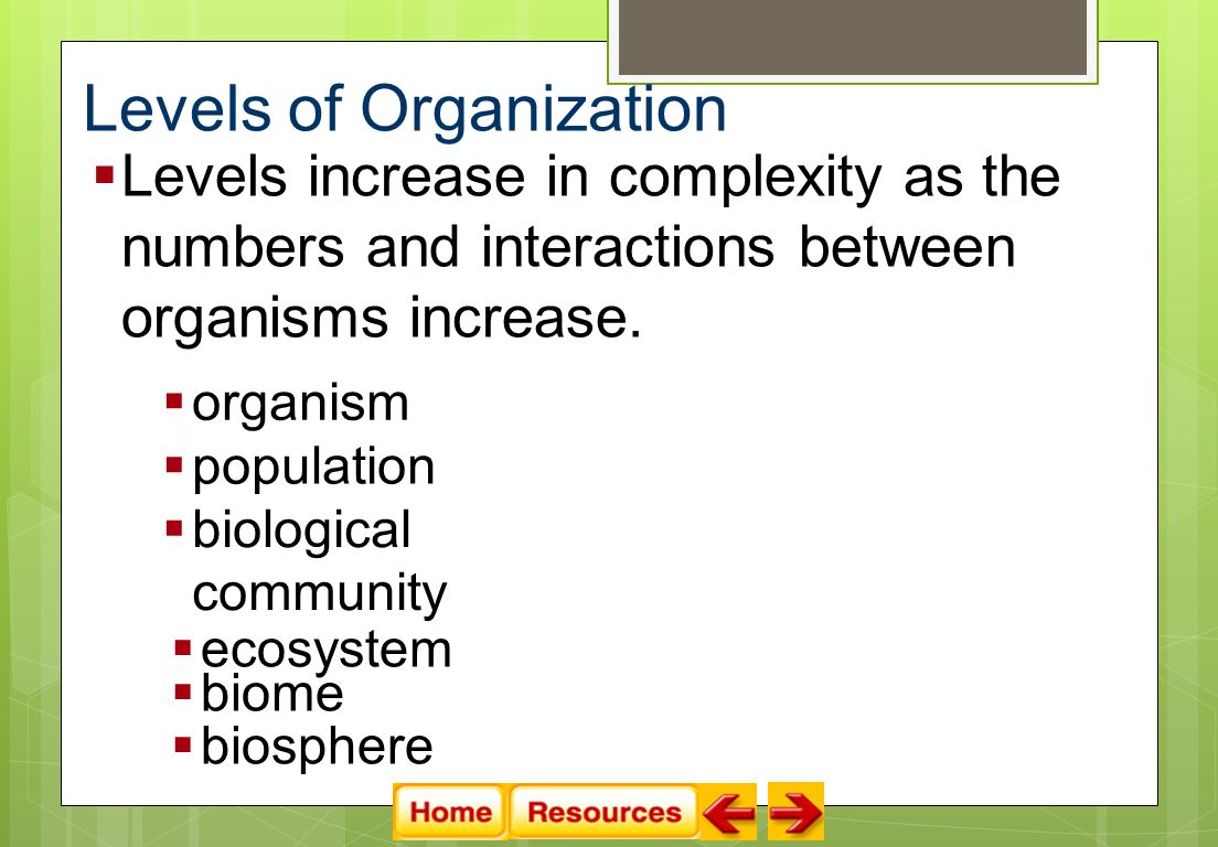 Levels of Organization  Levels increase in complexity as the numbers and interactions between organisms increase.