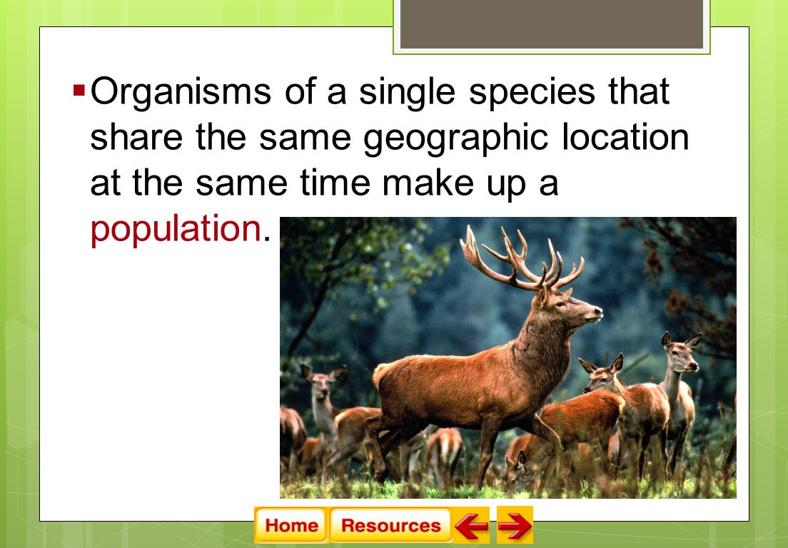  Organisms of a single species that share the same geographic location at the same time make up a population.