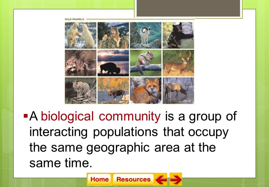  A biological community is a group of interacting populations that occupy the same geographic area at the same time.