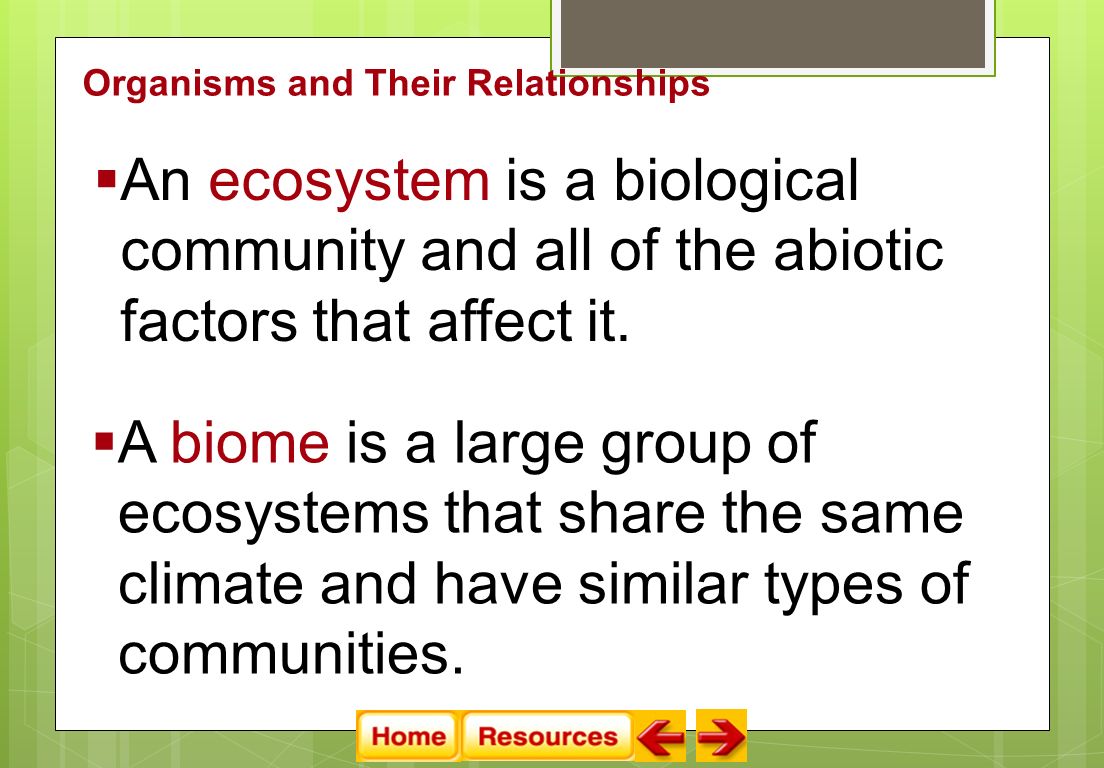 An ecosystem is a biological community and all of the abiotic factors that affect it.