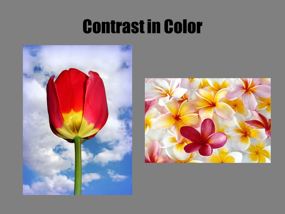 Contrast in Color