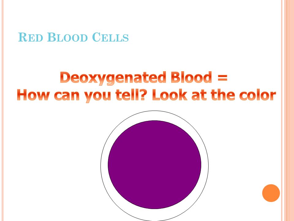 B LOOD Blood is a tissue made of plasma, red and white blood cells, and platelets.