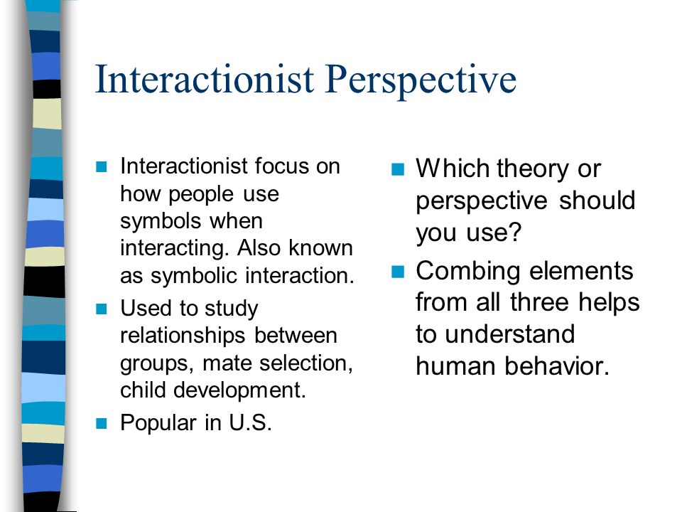 interactionist perspective