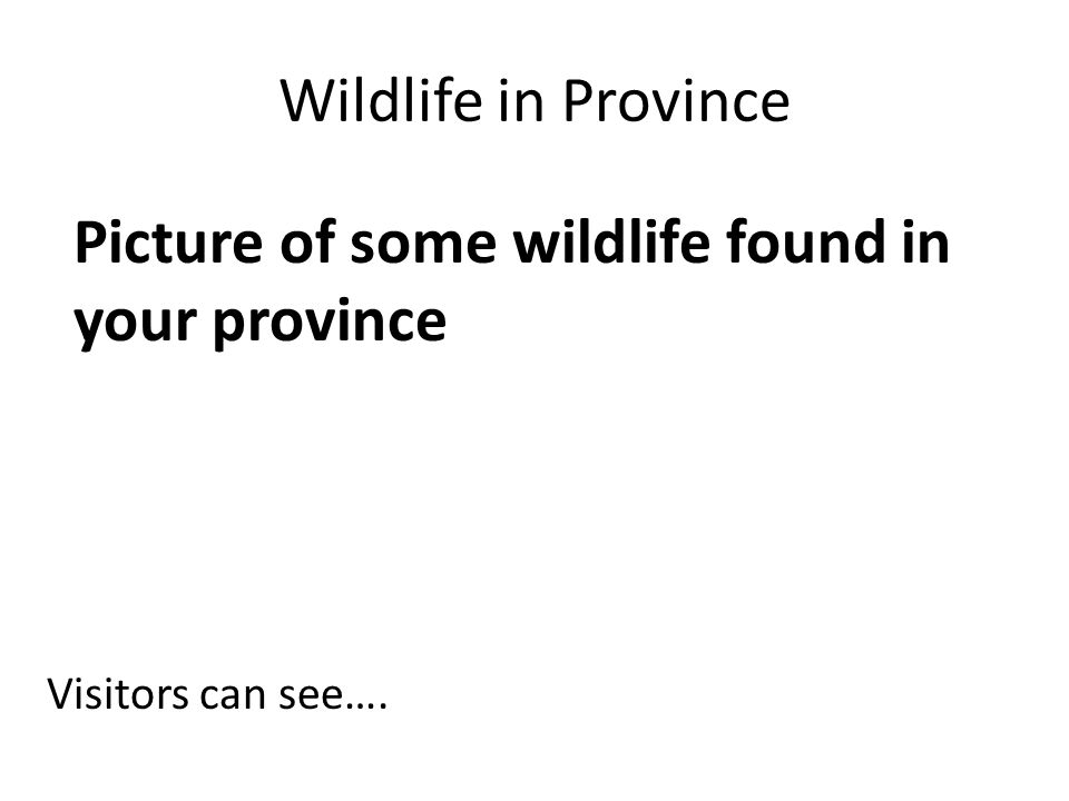 Wildlife in Province Visitors can see…. Picture of some wildlife found in your province