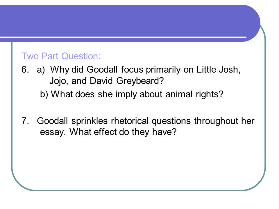 persuasive essay animal rights This persuasive essay on animal rights will open your eyes and prove that not only human, but every live being has its right to life and many others. persuasive essay animal rights This persuasive essay on animal rights will open your eyes and prove that not only human, but every live being has its right to life and many others.