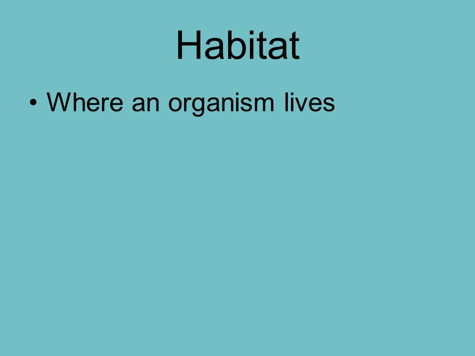 Habitat Where an organism lives
