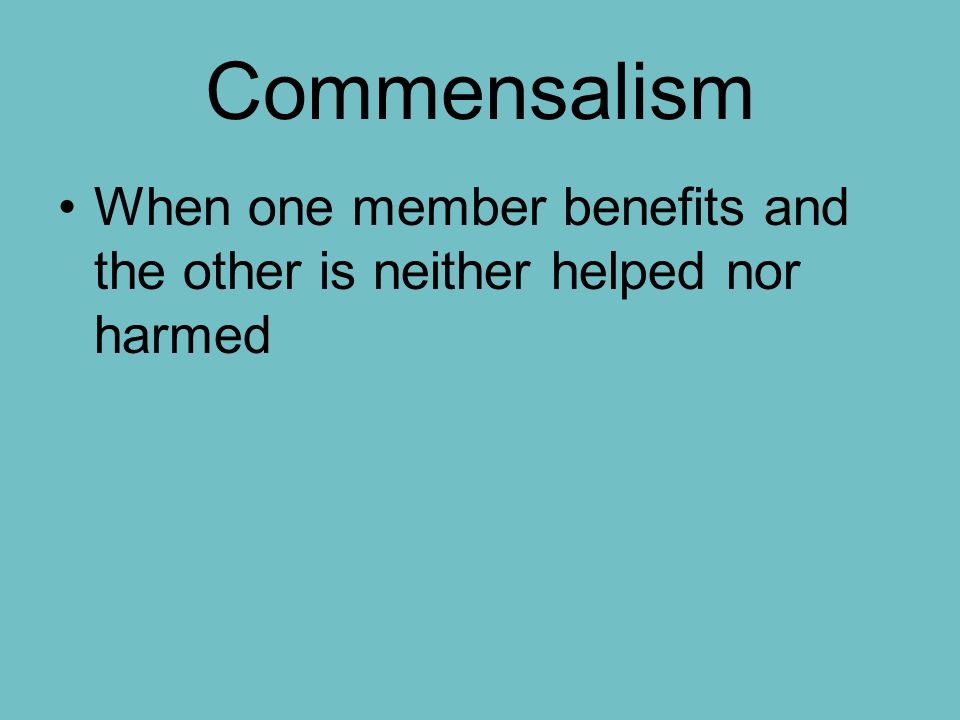 Commensalism When one member benefits and the other is neither helped nor harmed