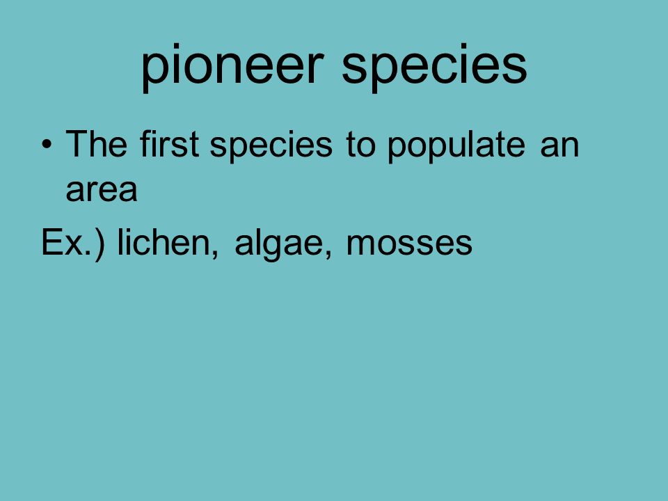 pioneer species The first species to populate an area Ex.) lichen, algae, mosses