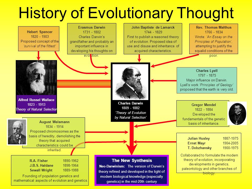 an introduction to the charles darwin and the development and impact of the theory of evolution by n And the development of the theory of evolution an introduction to the origin of species this book will enjoy reading about darwin and the origin of species. an introduction to the charles darwin and the development and impact of the theory of evolution by n And the development of the theory of evolution an introduction to the origin of species this book will enjoy reading about darwin and the origin of species.