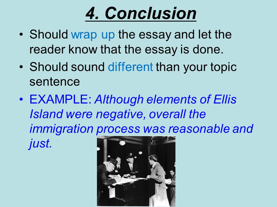 Essay On Immigration
