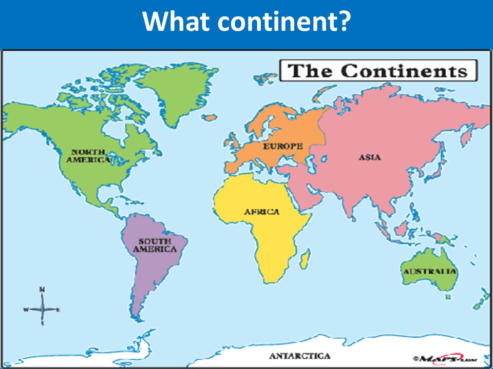 What continent