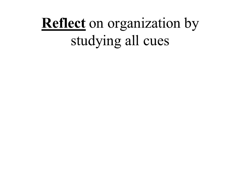 Reflect on organization by studying all cues