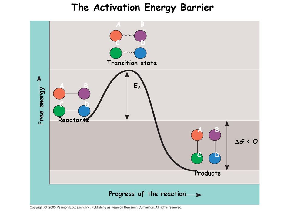 determining the activation energy essay determining the activation energy essay