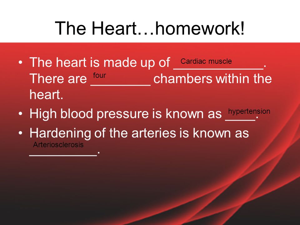 The Heart…homework. The heart is made up of ____________.