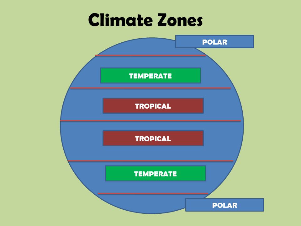 Climate Zones TROPICAL TEMPERATE POLAR