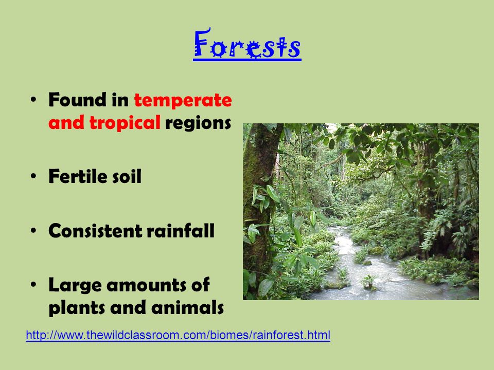 Forests Found in temperate and tropical regions Fertile soil Consistent rainfall Large amounts of plants and animals