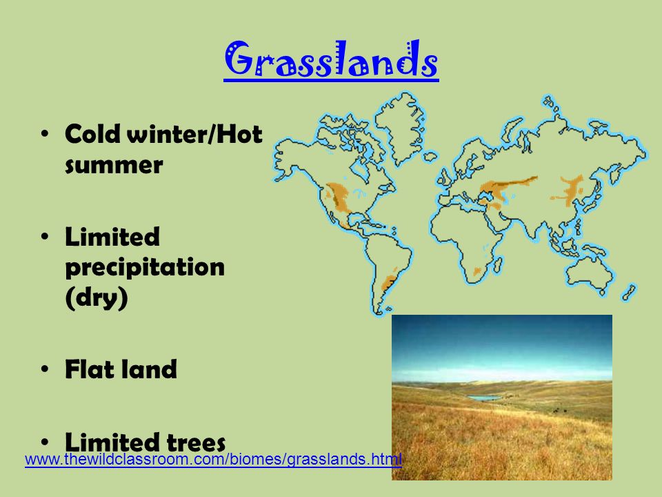 Grasslands Cold winter/Hot summer Limited precipitation (dry) Flat land Limited trees