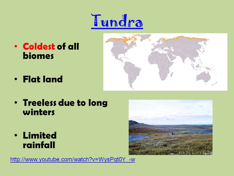 Tundra Coldest of all biomes Flat land Treeless due to long winters Limited rainfall   v=WysPqt0Y_-w