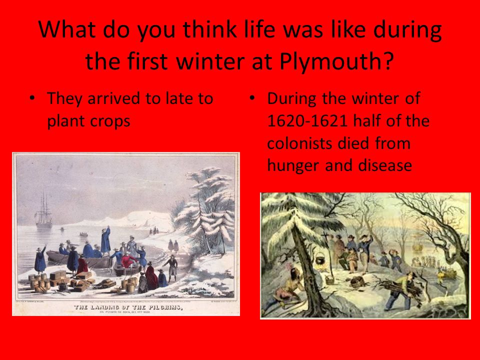 What do you think life was like during the first winter at Plymouth.