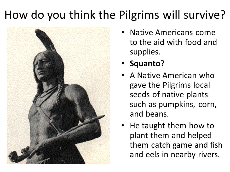 How do you think the Pilgrims will survive.