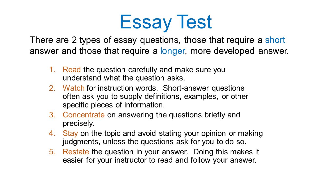 define essay type test define essay type test