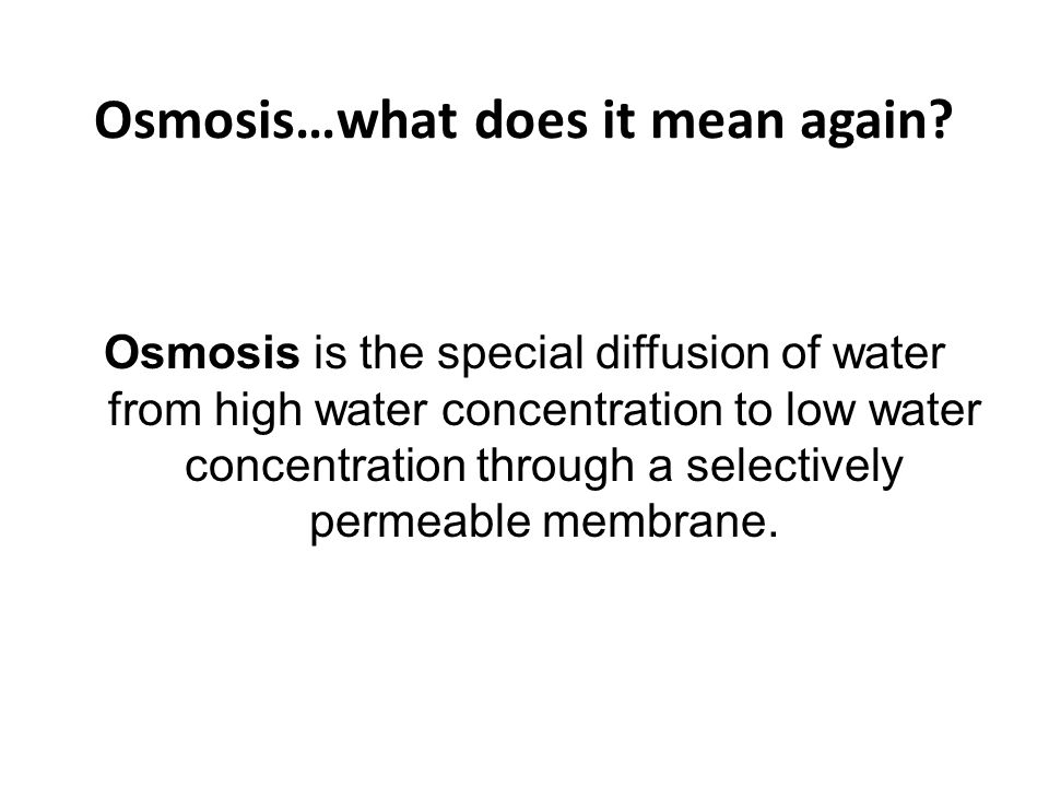 osmosis potato lab
