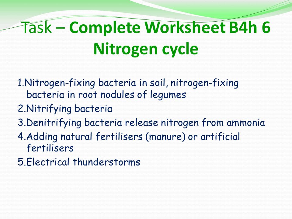 Nitrogen Cycle Worksheet Sandropainting Com Nitrogen Cycle Worksheet