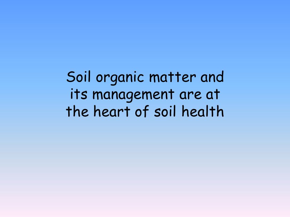 soil and organic matter Comparing the soil organic matter on conventional and organic farms found 26 percent more long-term carbon storage potential on organic farms. soil and organic matter Comparing the soil organic matter on conventional and organic farms found 26 percent more long-term carbon storage potential on organic farms.
