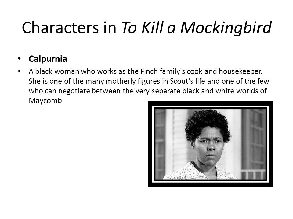a literary analysis of the character of jem finch in to kill a mockingbird Everything you ever wanted to know about jeremy atticus finch (jem) in to kill a mockingbird to kill a mockingbird finch (jem) back next character analysis. a literary analysis of the character of jem finch in to kill a mockingbird Everything you ever wanted to know about jeremy atticus finch (jem) in to kill a mockingbird to kill a mockingbird finch (jem) back next character analysis.