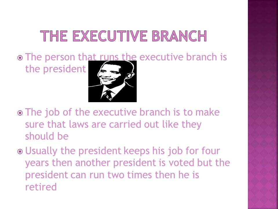  The person that runs the executive branch is the president  The job of the executive branch is to make sure that laws are carried out like they should be  Usually the president keeps his job for four years then another president is voted but the president can run two times then he is retired