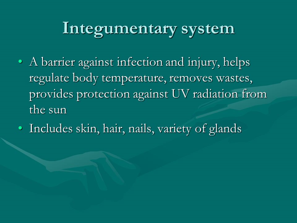 Integumentary system A barrier against infection and injury, helps regulate body temperature, removes wastes, provides protection against UV radiation from the sunA barrier against infection and injury, helps regulate body temperature, removes wastes, provides protection against UV radiation from the sun Includes skin, hair, nails, variety of glandsIncludes skin, hair, nails, variety of glands