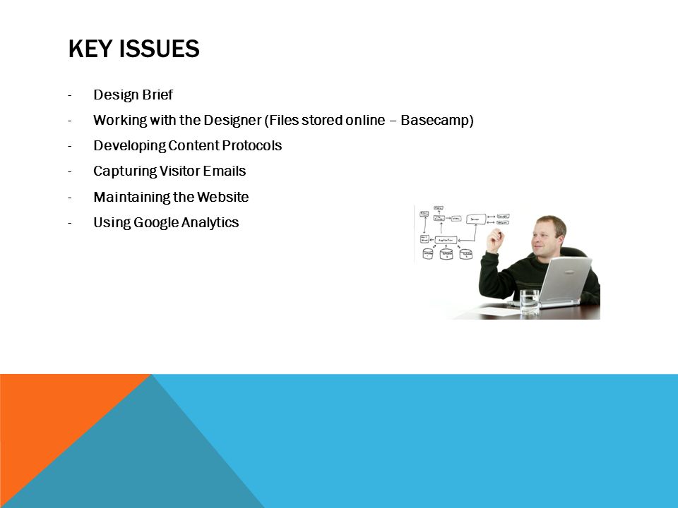 KEY ISSUES -Design Brief -Working with the Designer (Files stored online – Basecamp) -Developing Content Protocols -Capturing Visitor  s -Maintaining the Website -Using Google Analytics