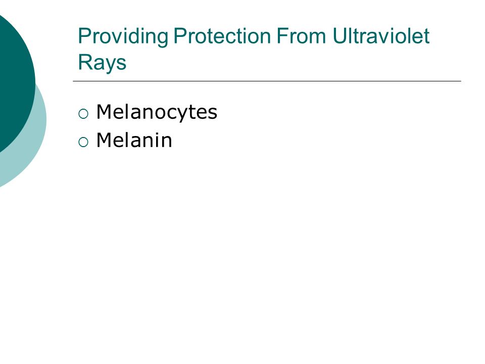 Providing Protection From Ultraviolet Rays  Melanocytes  Melanin