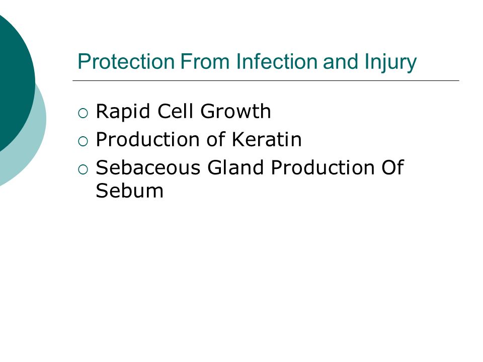 Protection From Infection and Injury  Rapid Cell Growth  Production of Keratin  Sebaceous Gland Production Of Sebum