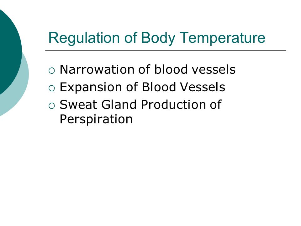 Regulation of Body Temperature  Narrowation of blood vessels  Expansion of Blood Vessels  Sweat Gland Production of Perspiration