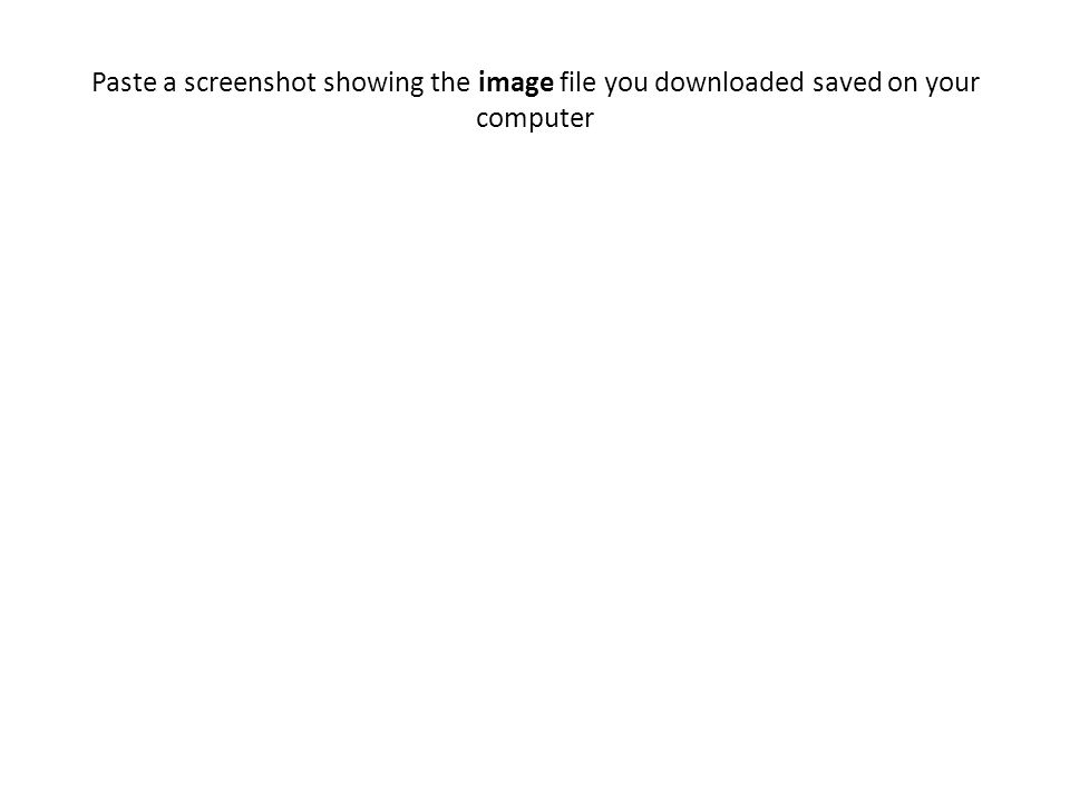 Paste a screenshot showing the image file you downloaded saved on your computer