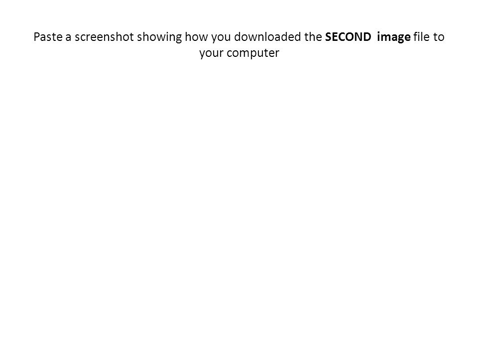 Paste a screenshot showing how you downloaded the SECOND image file to your computer