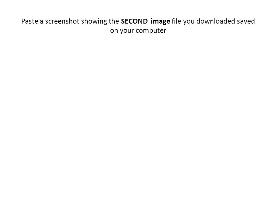 Paste a screenshot showing the SECOND image file you downloaded saved on your computer