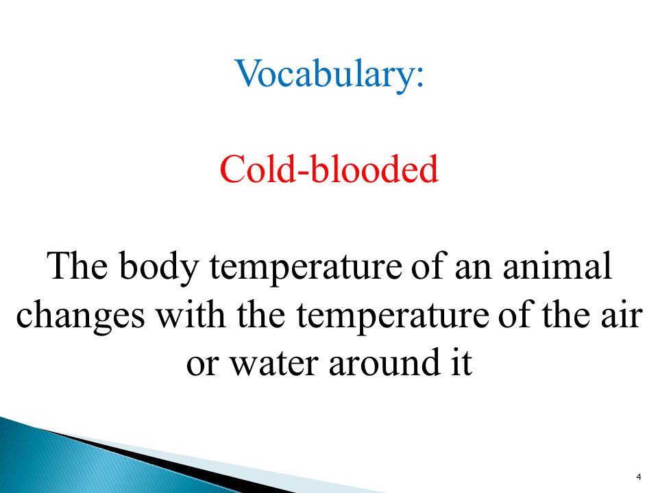 4 Vocabulary: Cold-blooded The body temperature of an animal changes with the temperature of the air or water around it