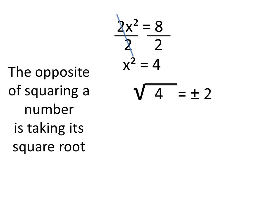 2x² = 8 22 x² = 4 The opposite of squaring a number is taking its square root √ 4= ± 2